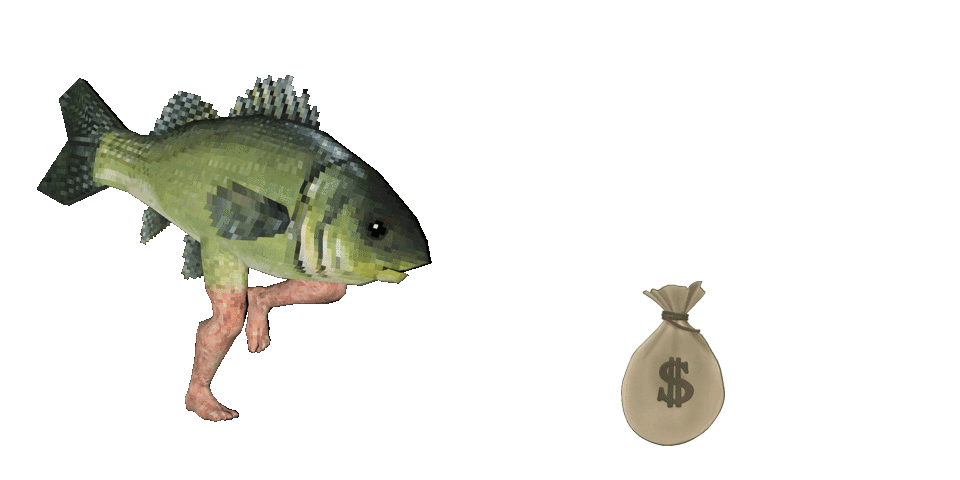 Rare Fish Capital